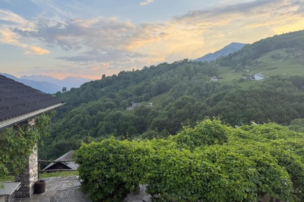 view2